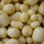 Patatas (Blancas de Tierra)