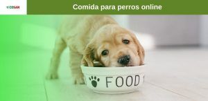Comida para perros online en internet