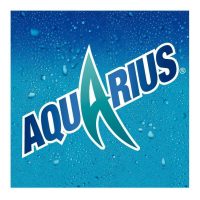Aquarius lata 33cl 24 uni.