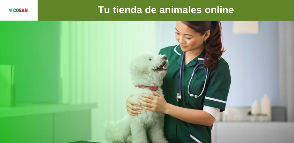 Tienda de animales online mascota que respeta el bienestar animal