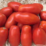 Tomates Pera